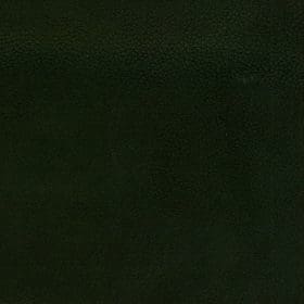 Evergreen Upholstery Fabric